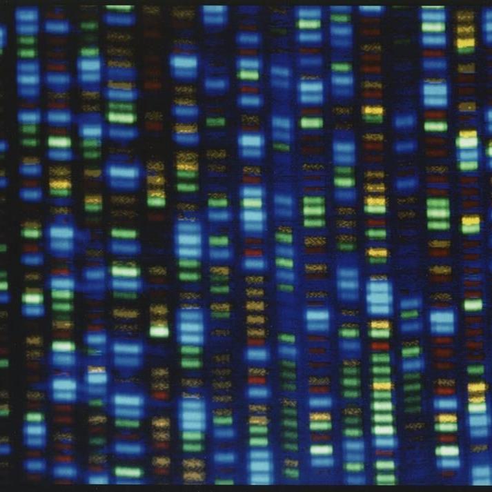People of African ancestry are poorly represented in genetic studies. A new effort would change that